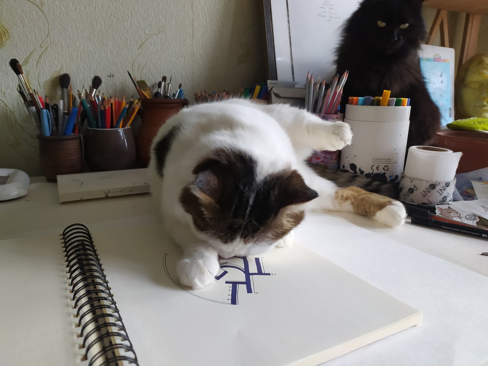 Both Cats Nyusya Grooming