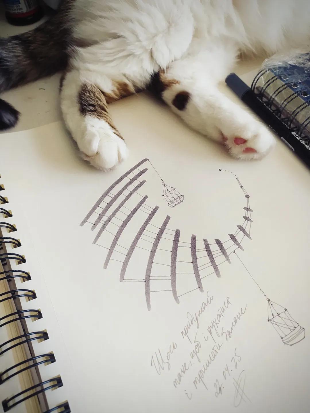 Nyusya Paws Bridge Drawing