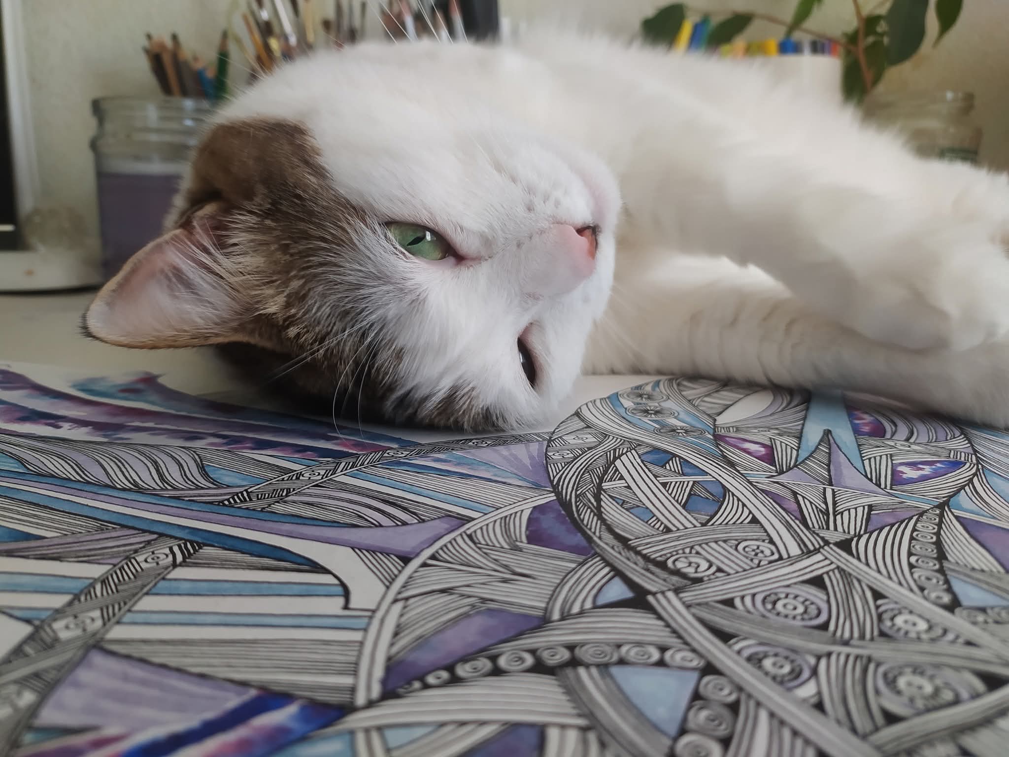 Nyusya Resting Zentangle Art