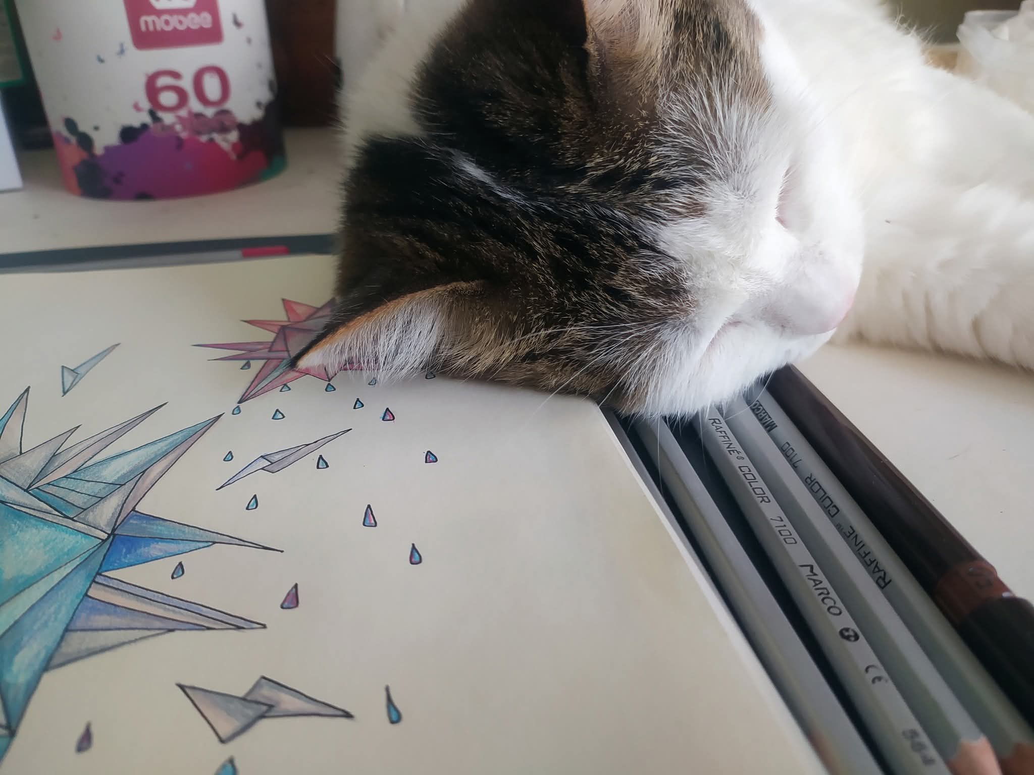 Nyusya Sleeping Crystal Art