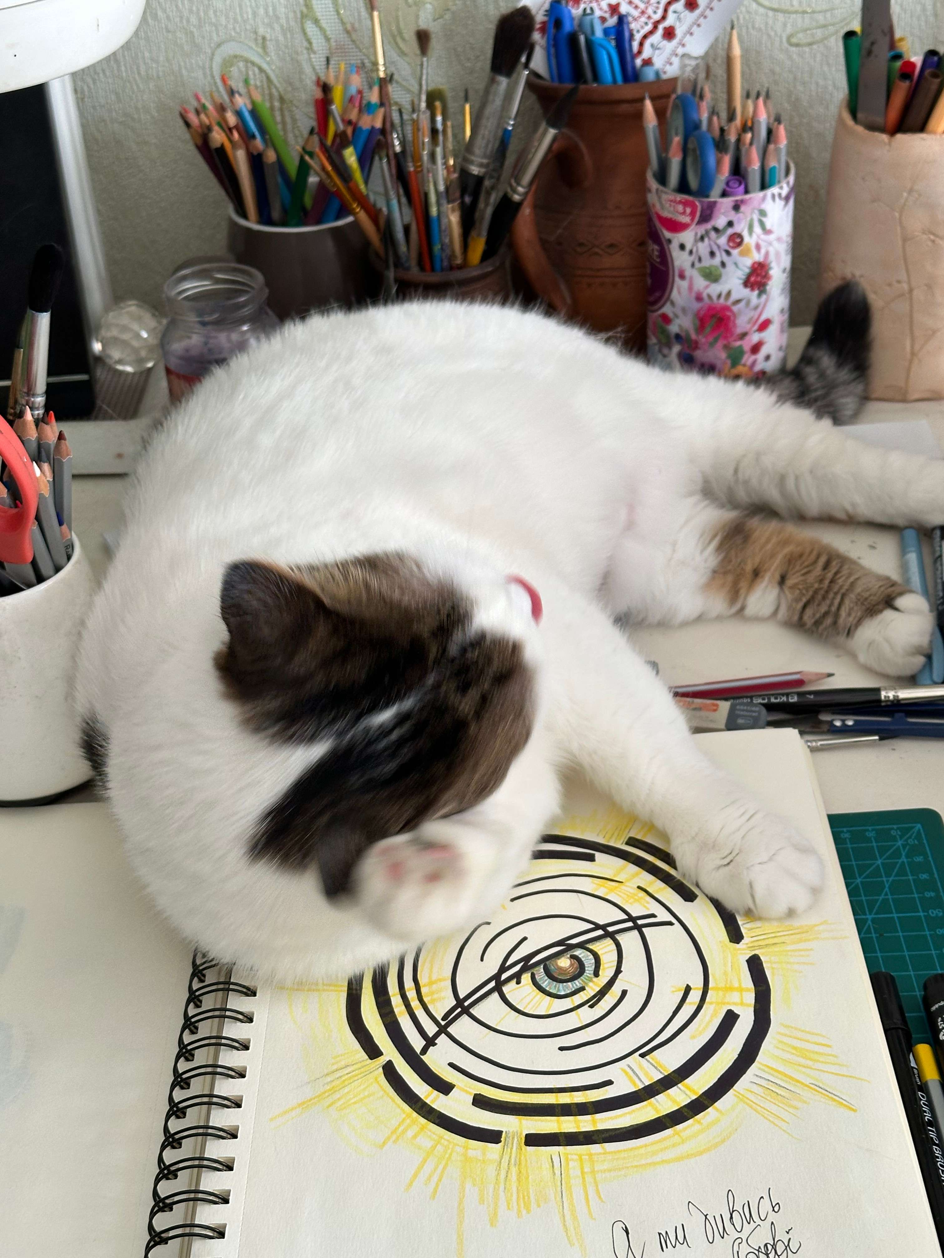 Nyusya Sprawled On Artwork