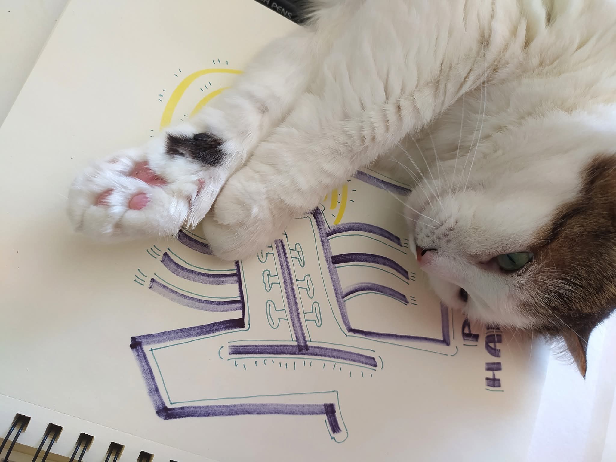 Nyusya Toe Beans Angel Sketch