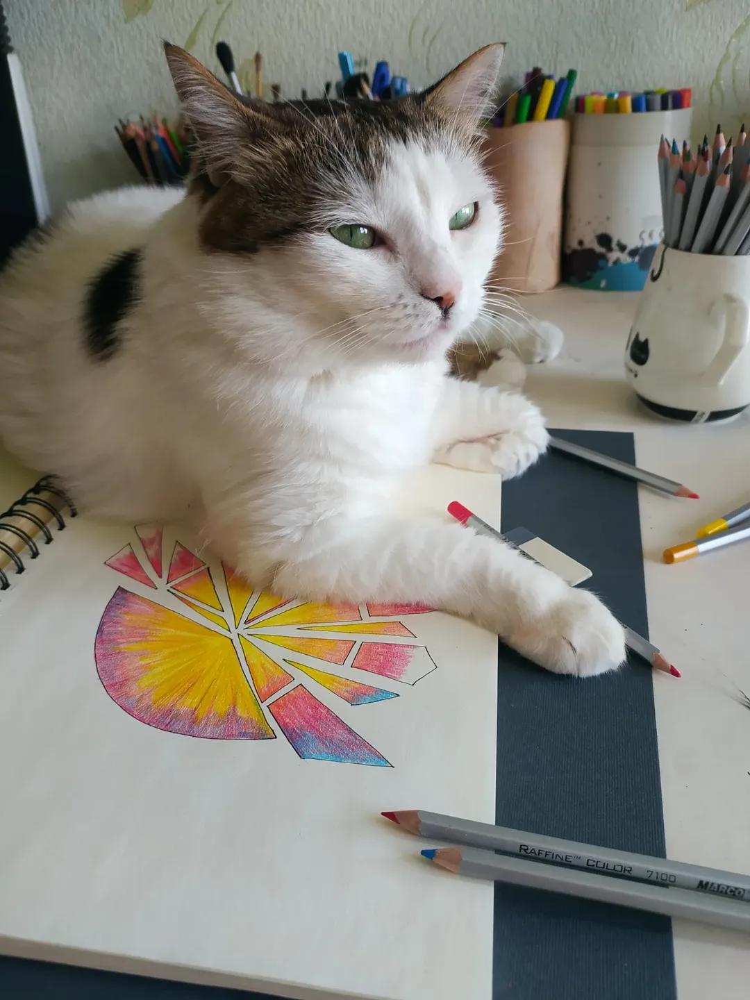 Nyusya With Sunset Art