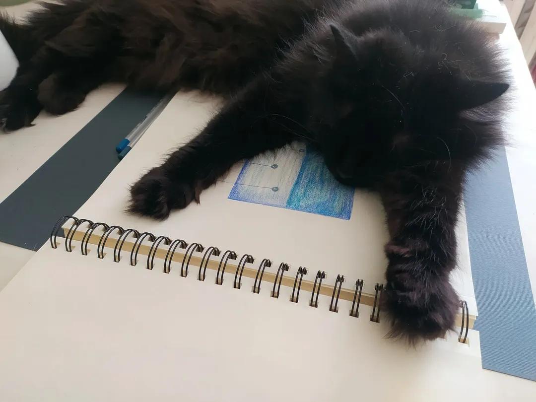 Timon Napping Blue Sketch