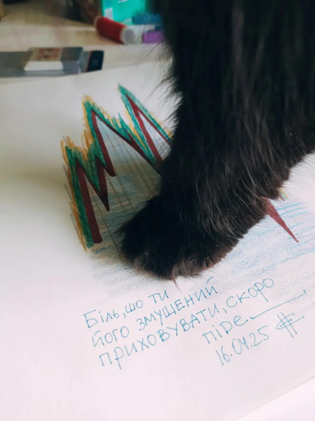 Timon Paw Closeup Mountains