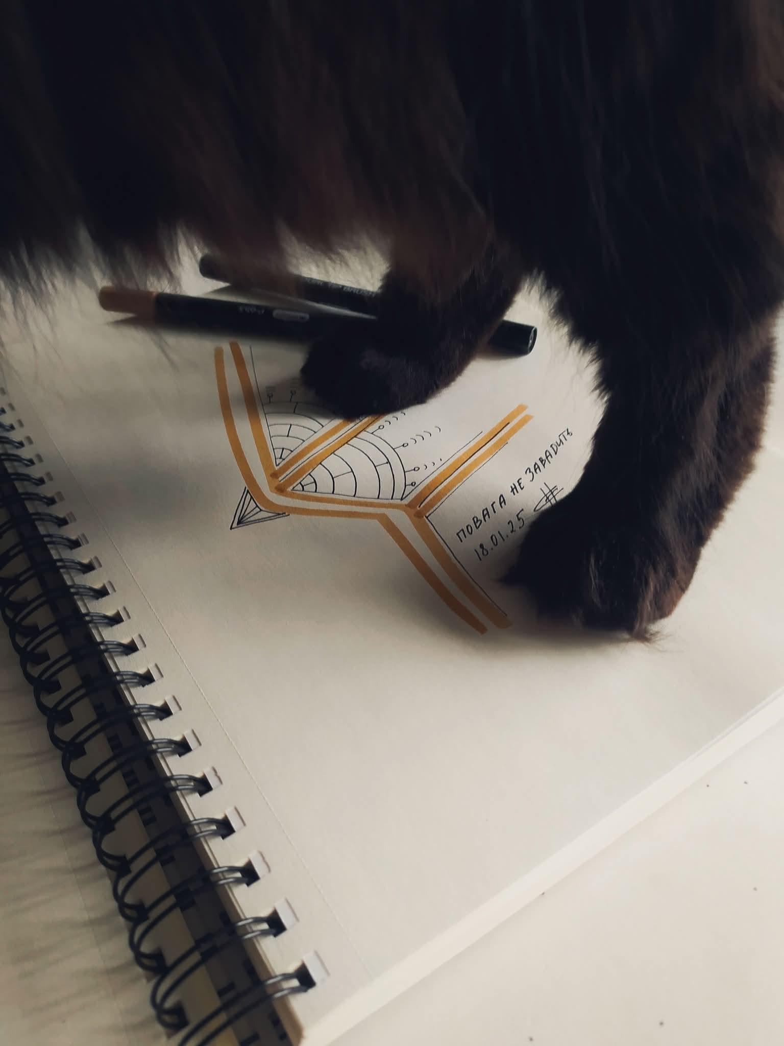 Timon Paw Geometric Angel