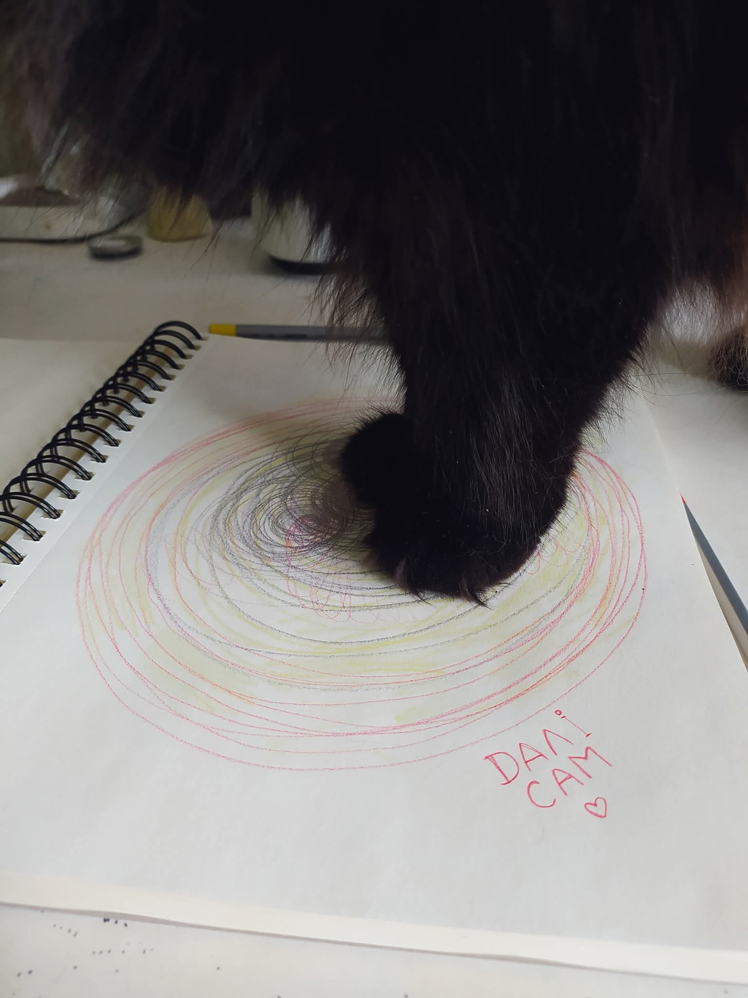 Timon Paw Spiral Drawing
