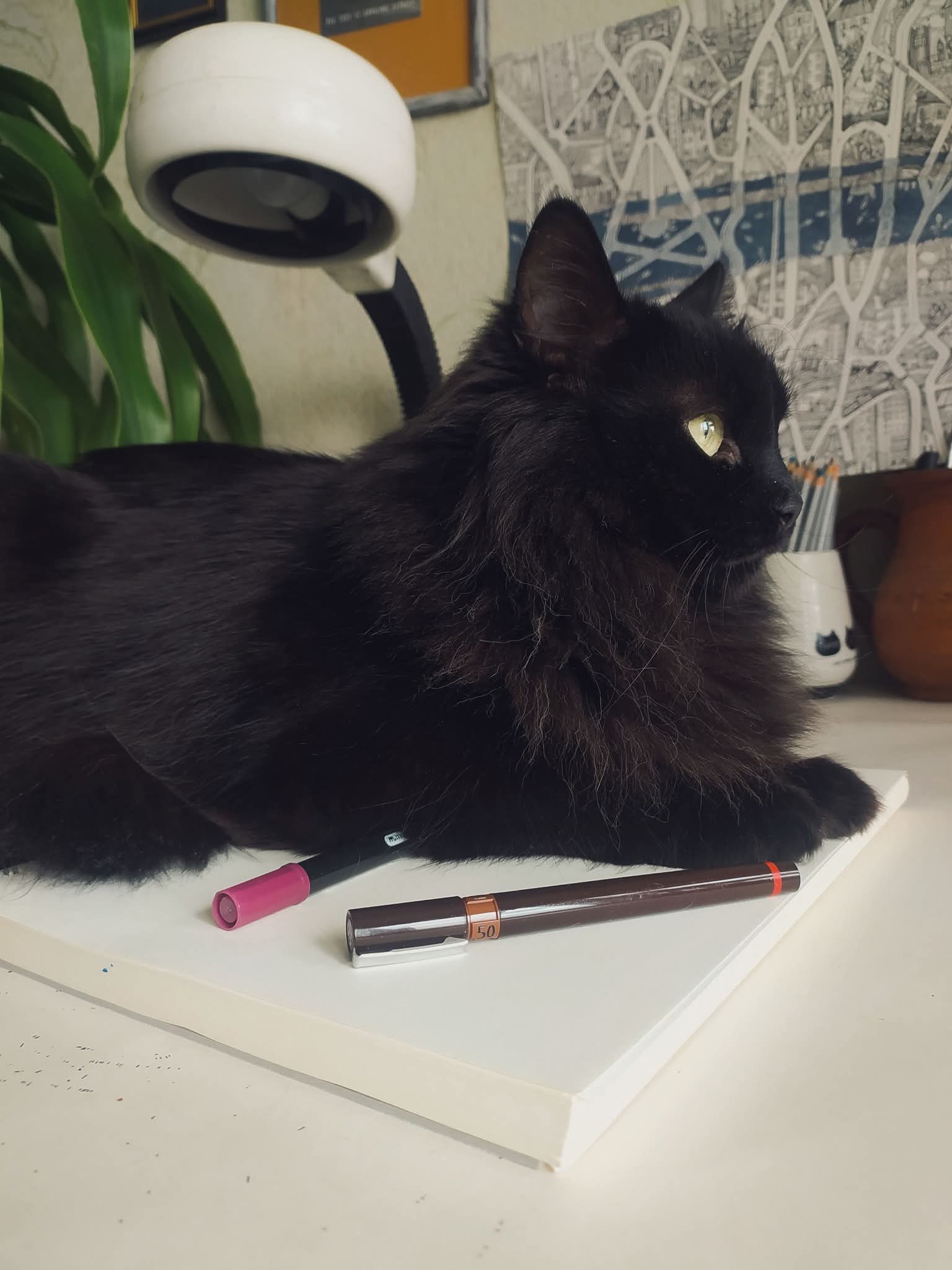 Timon Portrait Studio Desk